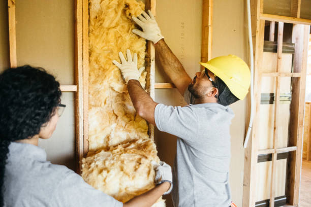 Best Blown-In Insulation  in Shamokin, PA